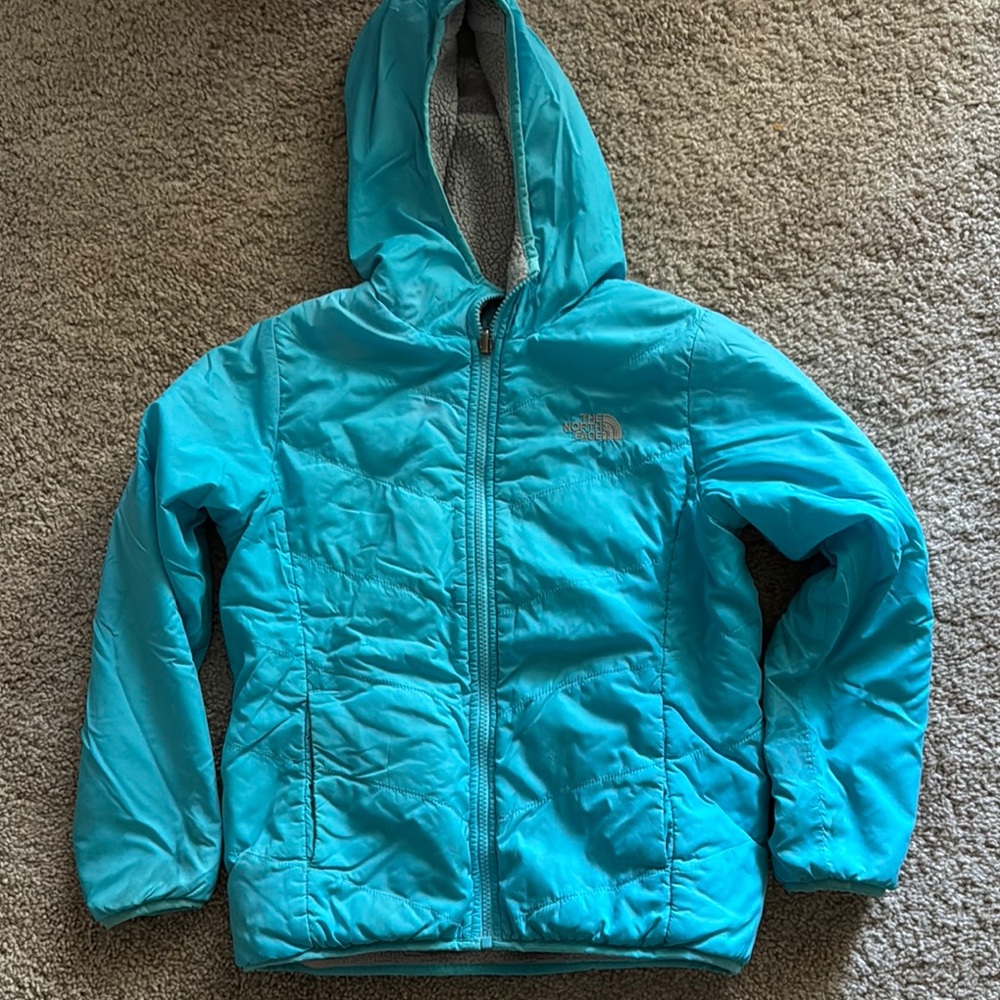 The North Face Blue Puffer Jacket with Quilted Design